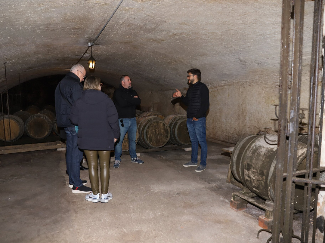 Bodegas Carrau-蒙得维的亚必去景点