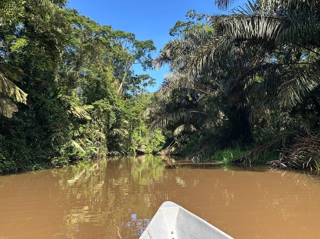 Tortuguero Tours-托图杰多必去景点