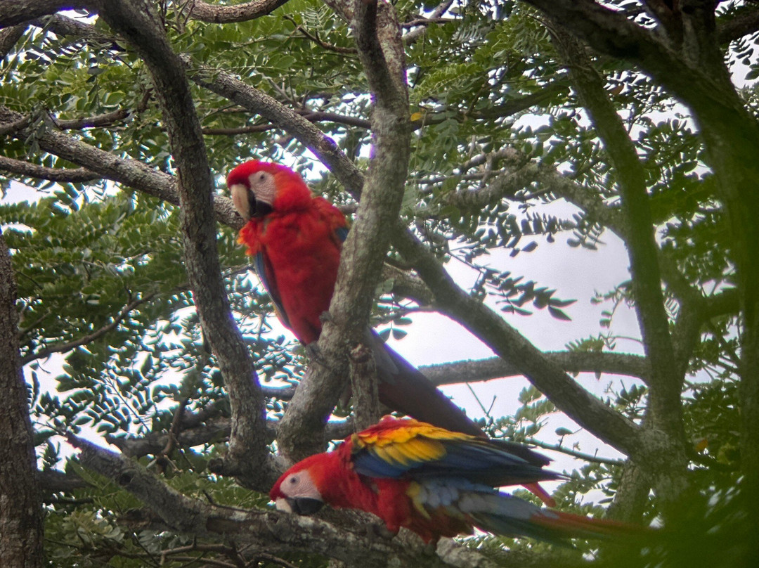 Carara National Park-卡拉拉必去景点