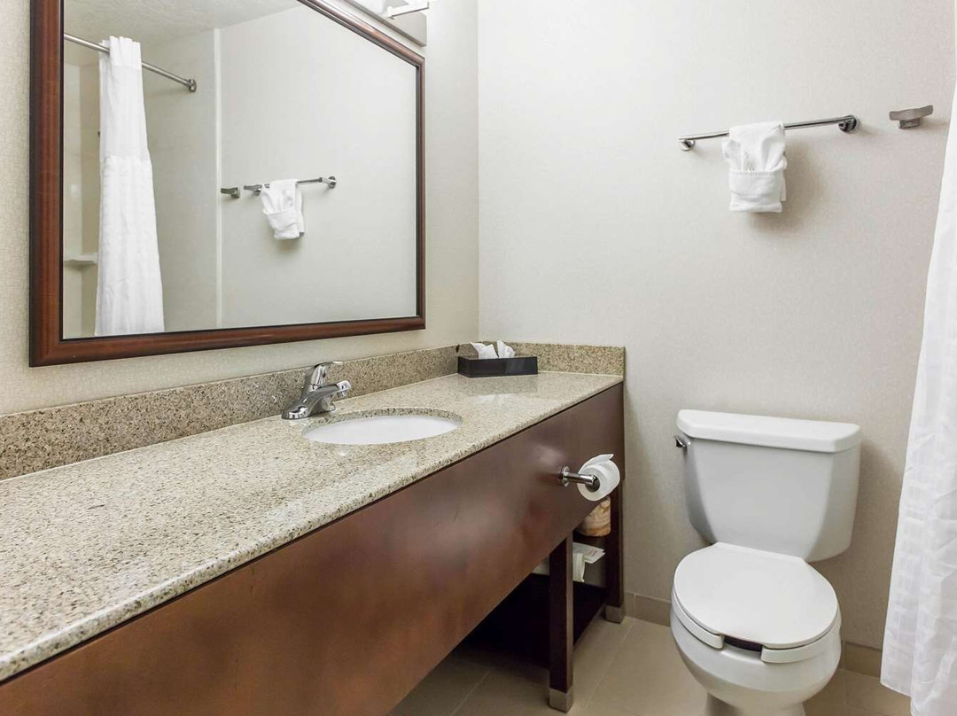 Comfort Inn & Suites near Fallon Naval Air Station主图