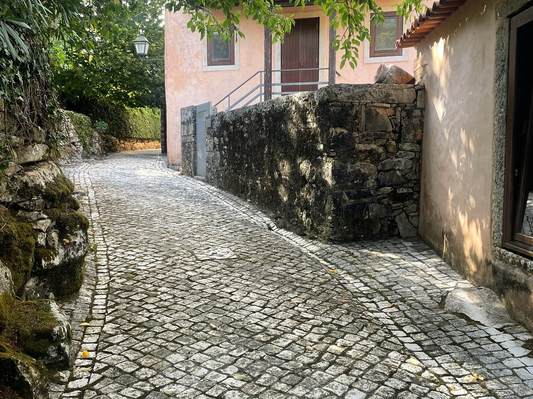 Villa Pedra Natural Houses主图