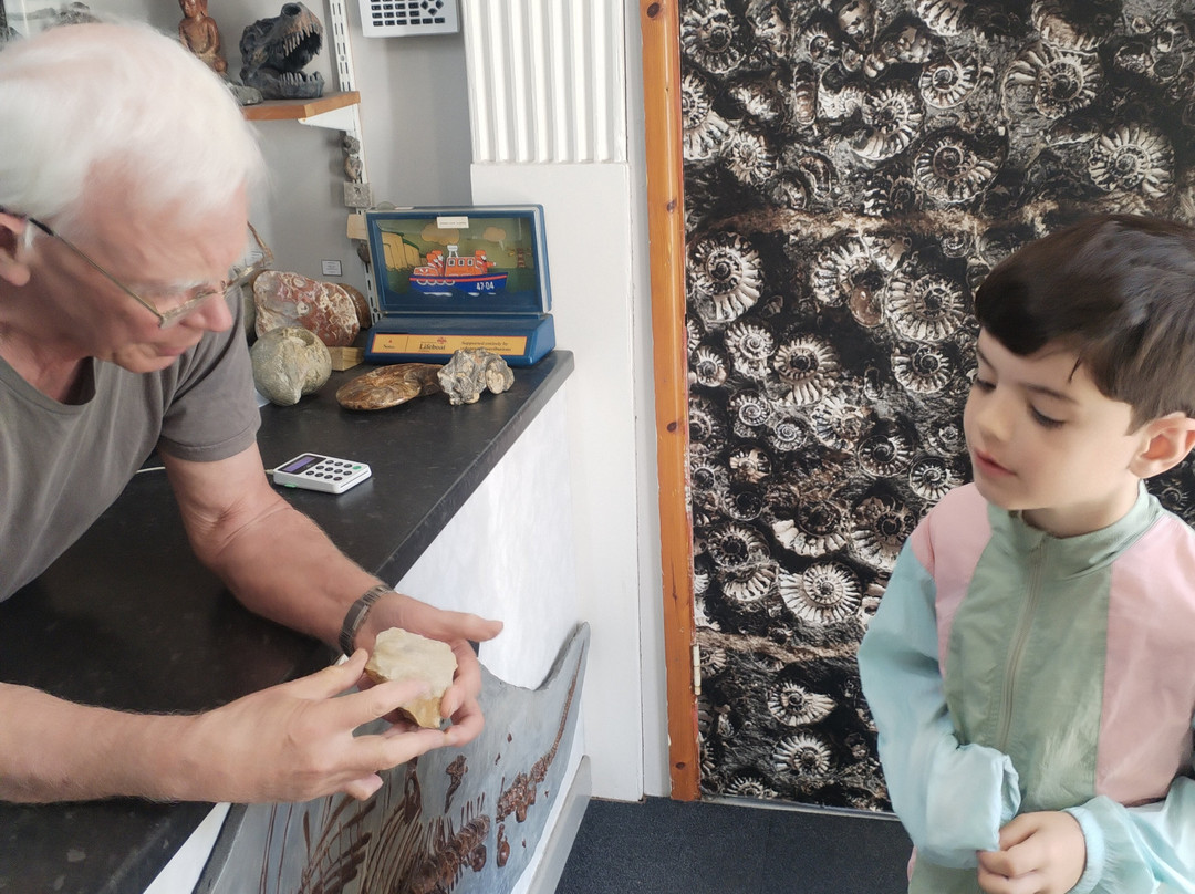 Dinosaurland Fossil Museum-莱姆里杰斯必去景点