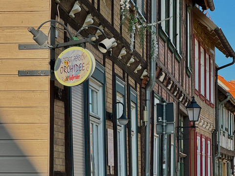 Altstadt Pension Orchidee主图