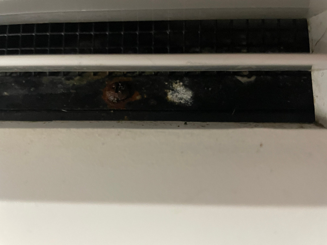 Super 8 by Wyndham Omaha Eppley Airport/Carter Lake主图