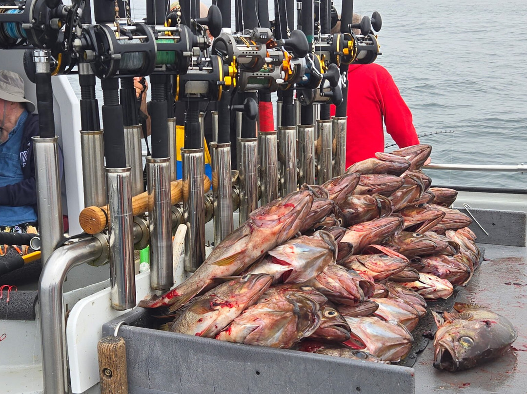Tornado Fishing Charters-Westport必去景点