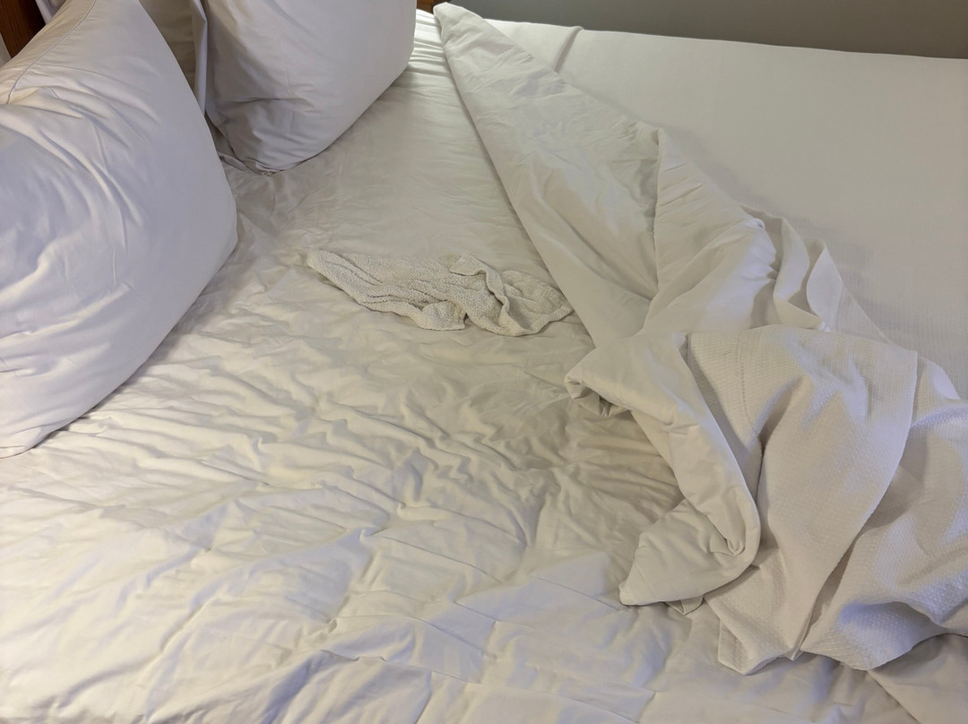 Hyatt Place Bayamón主图