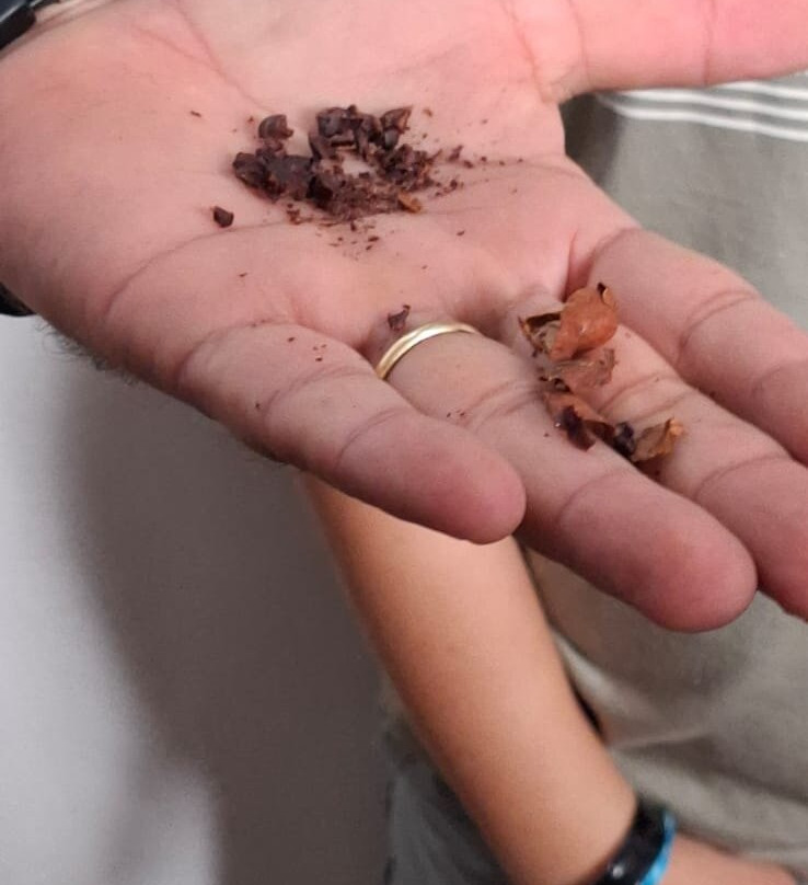 Fazenda Capela Velha-Urucuca必去景点