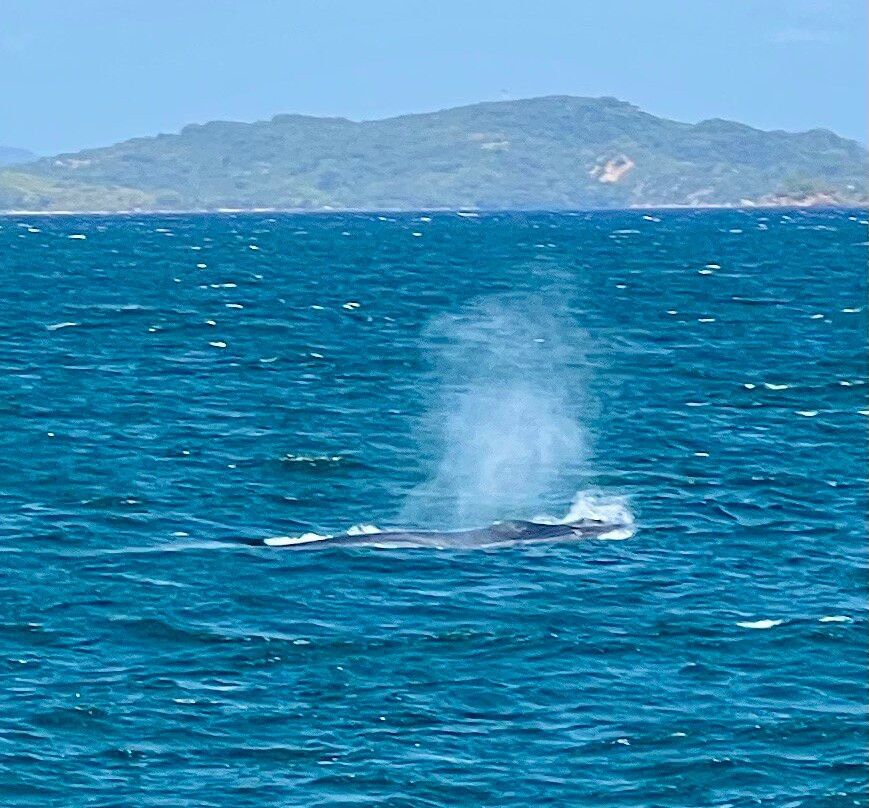 Sail Lanka - Trincomalee-Trincomalee必去景点