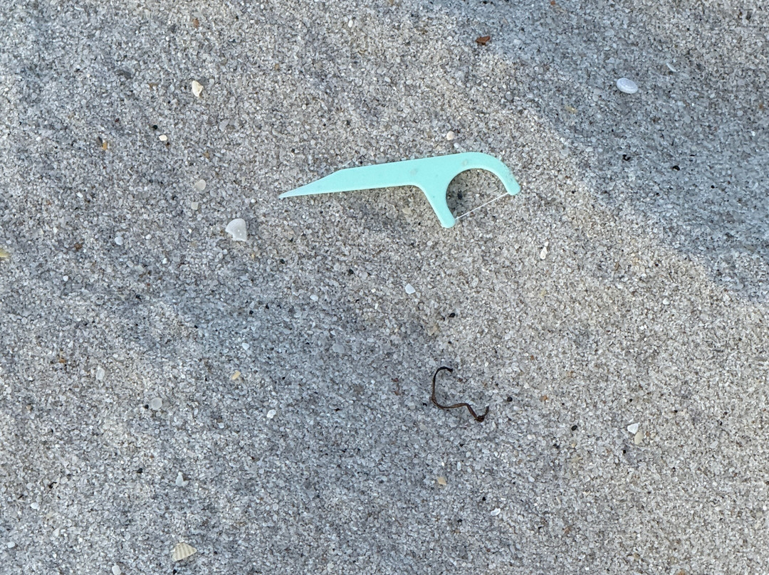 Dog Park-好莱坞必去景点