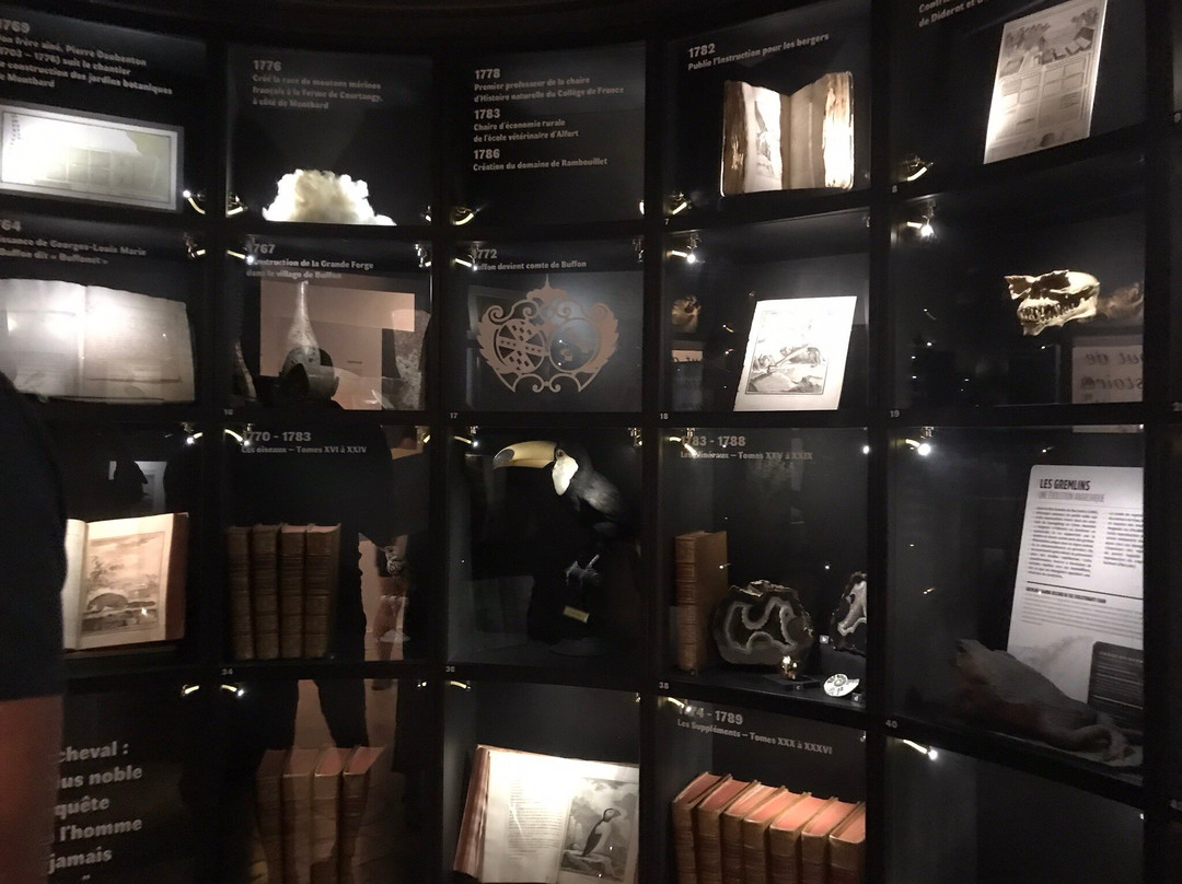 Musee et Parc Buffon-蒙巴尔必去景点