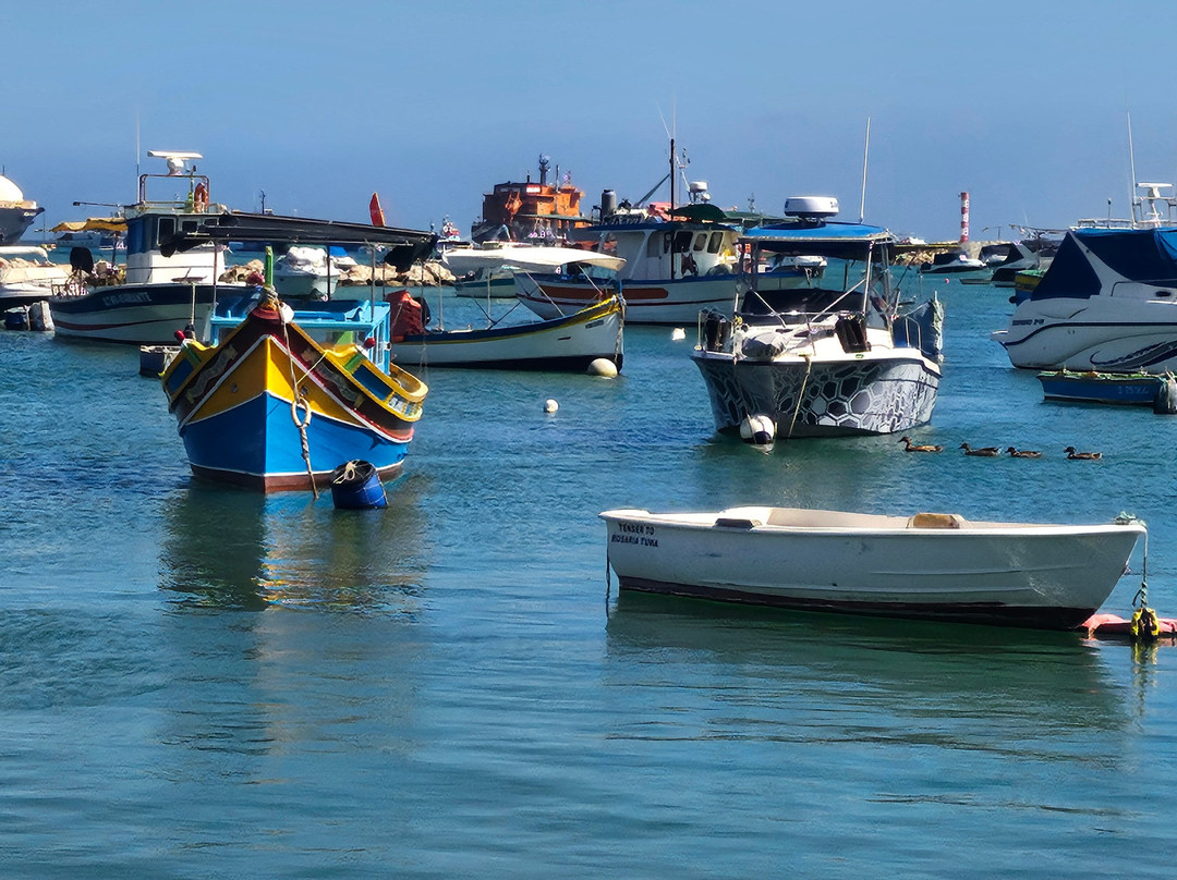 Fisherman's Cove Guesthouse主图