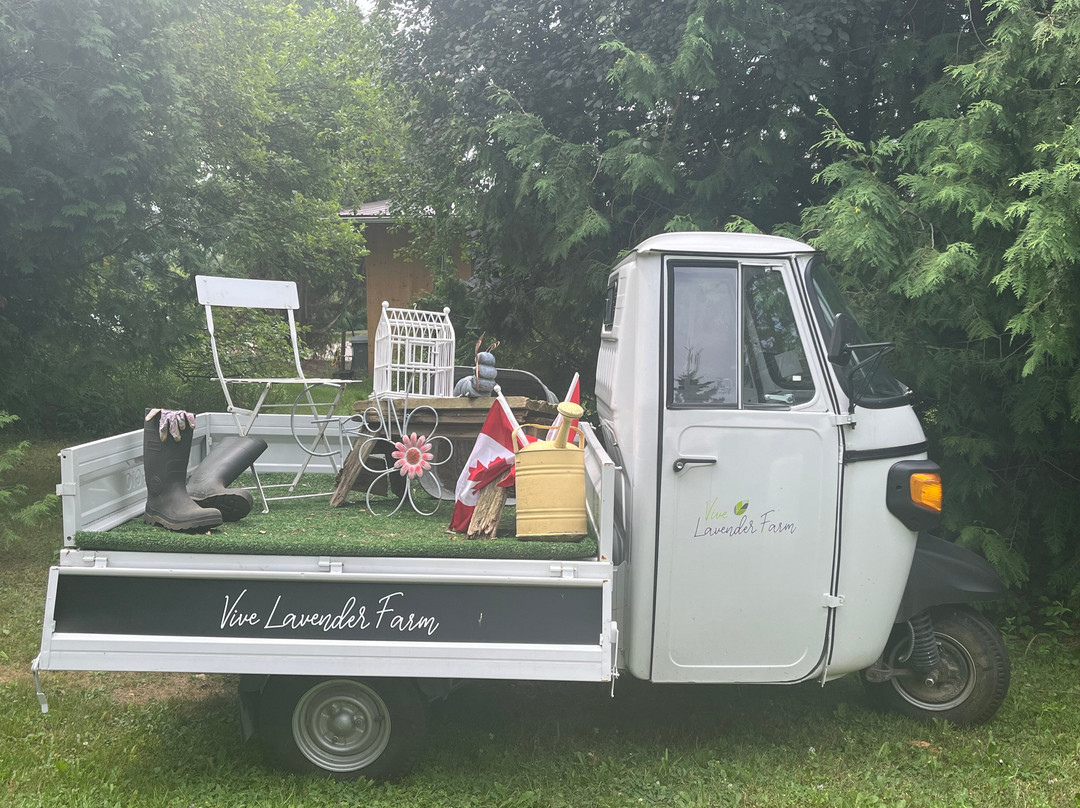 Vive Lavender Farm