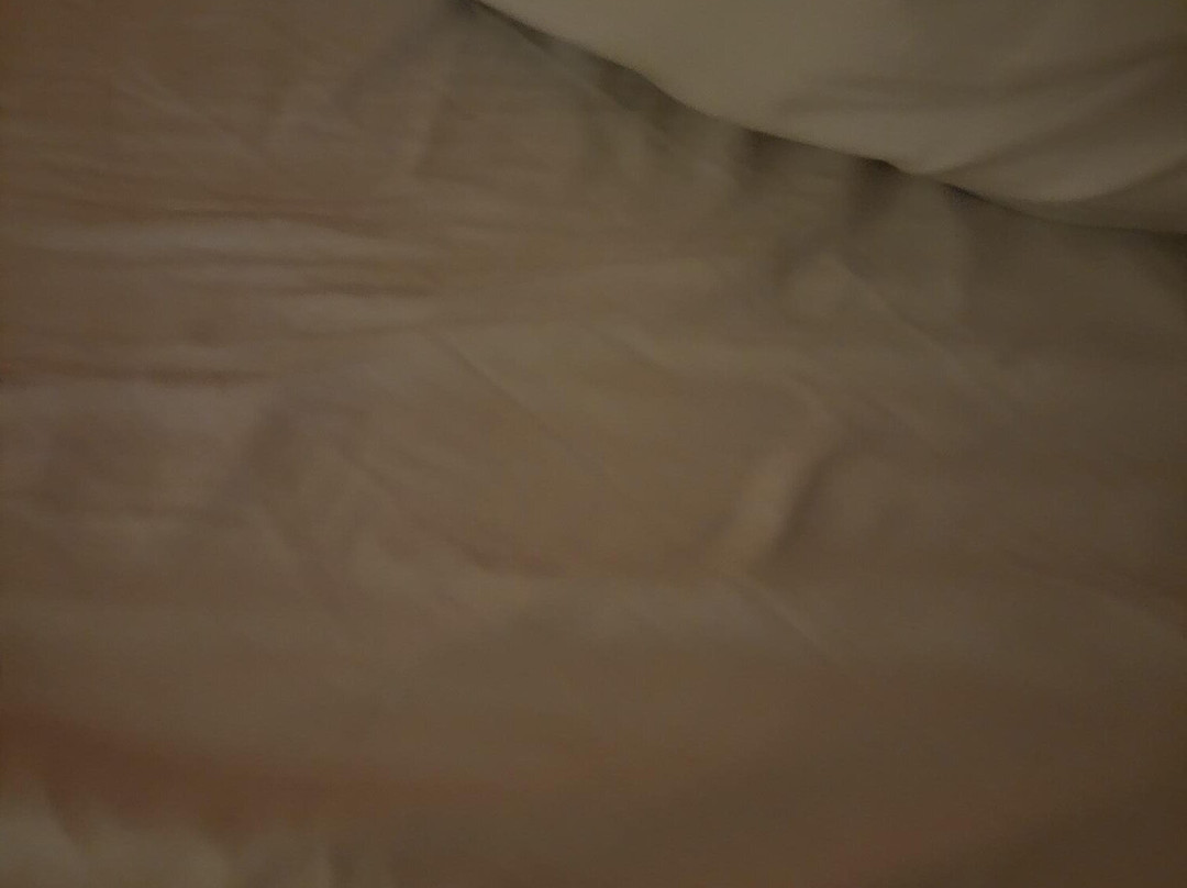 Premiere Classe Macon主图