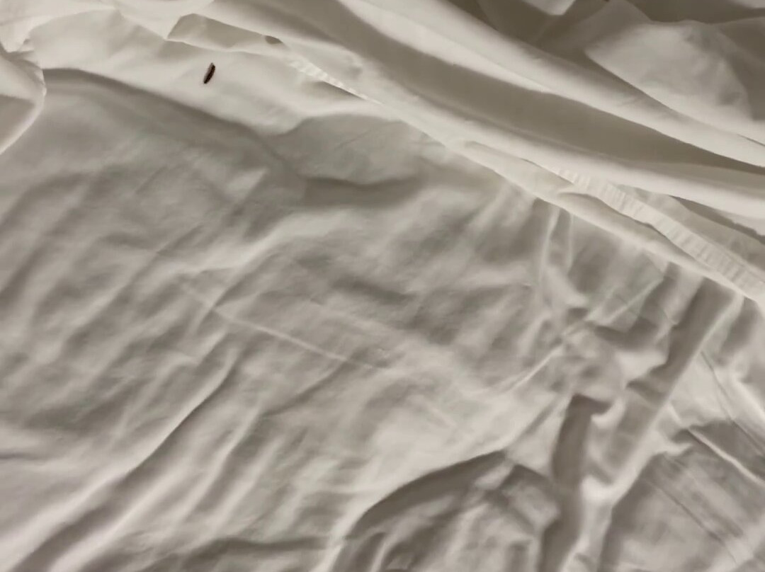 Hampton Inn Rutland主图