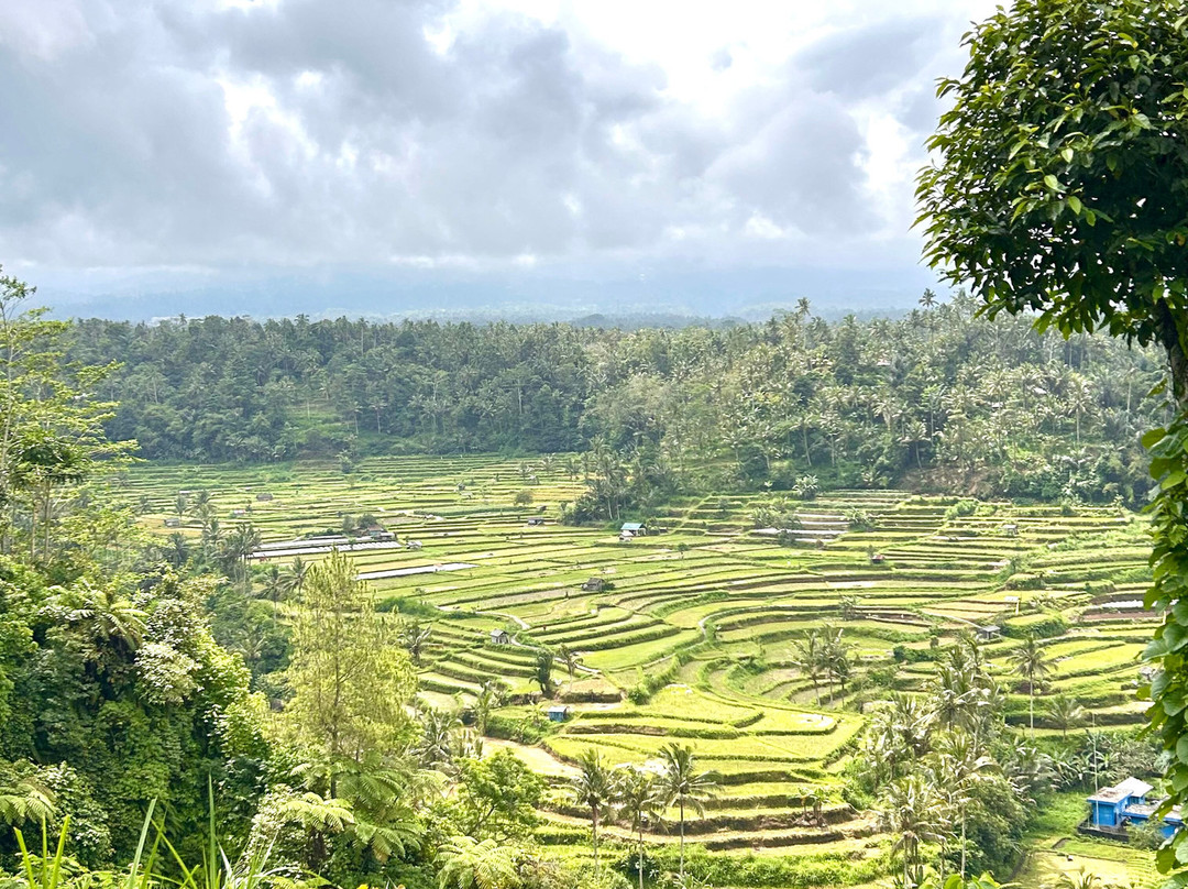 Bali Walking Hiking Adventure - Day Tours-登巴萨必去景点