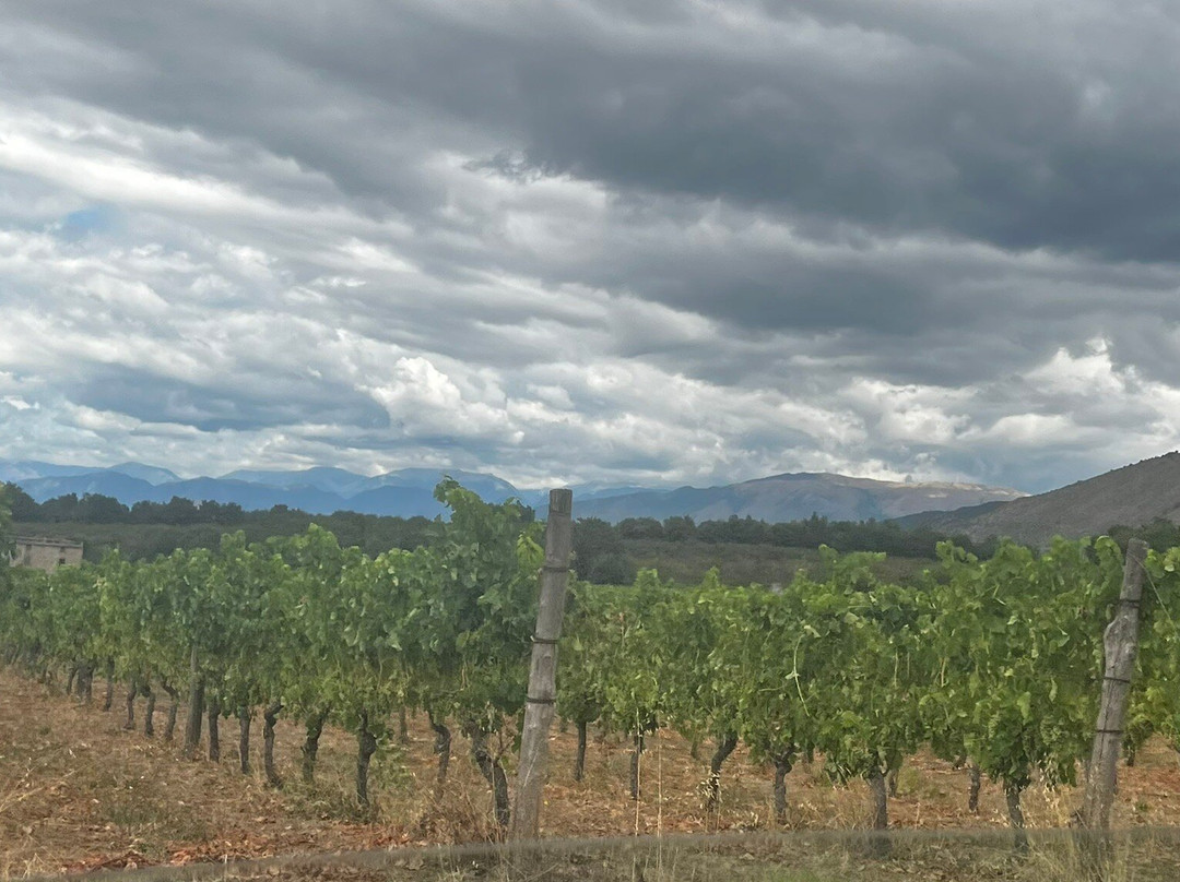 Vini Porto di Mola-Galluccio必去景点