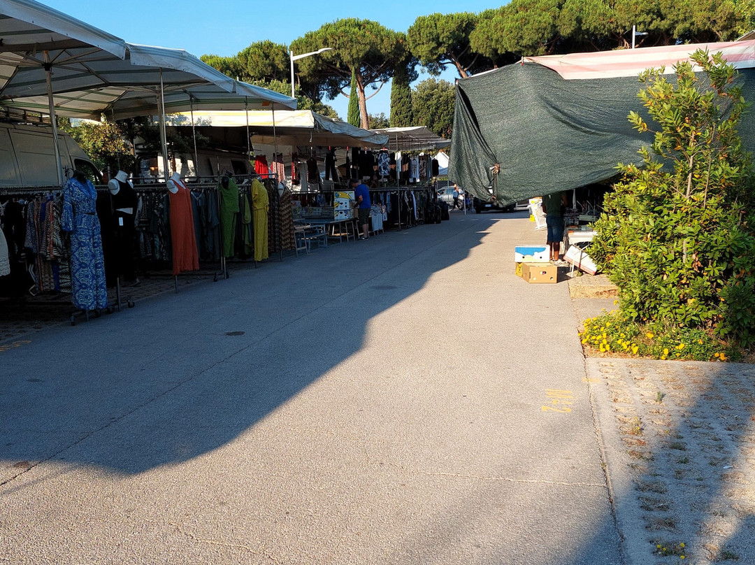 Mercato Settimanale Parco Centrale-福洛尼卡必去景点