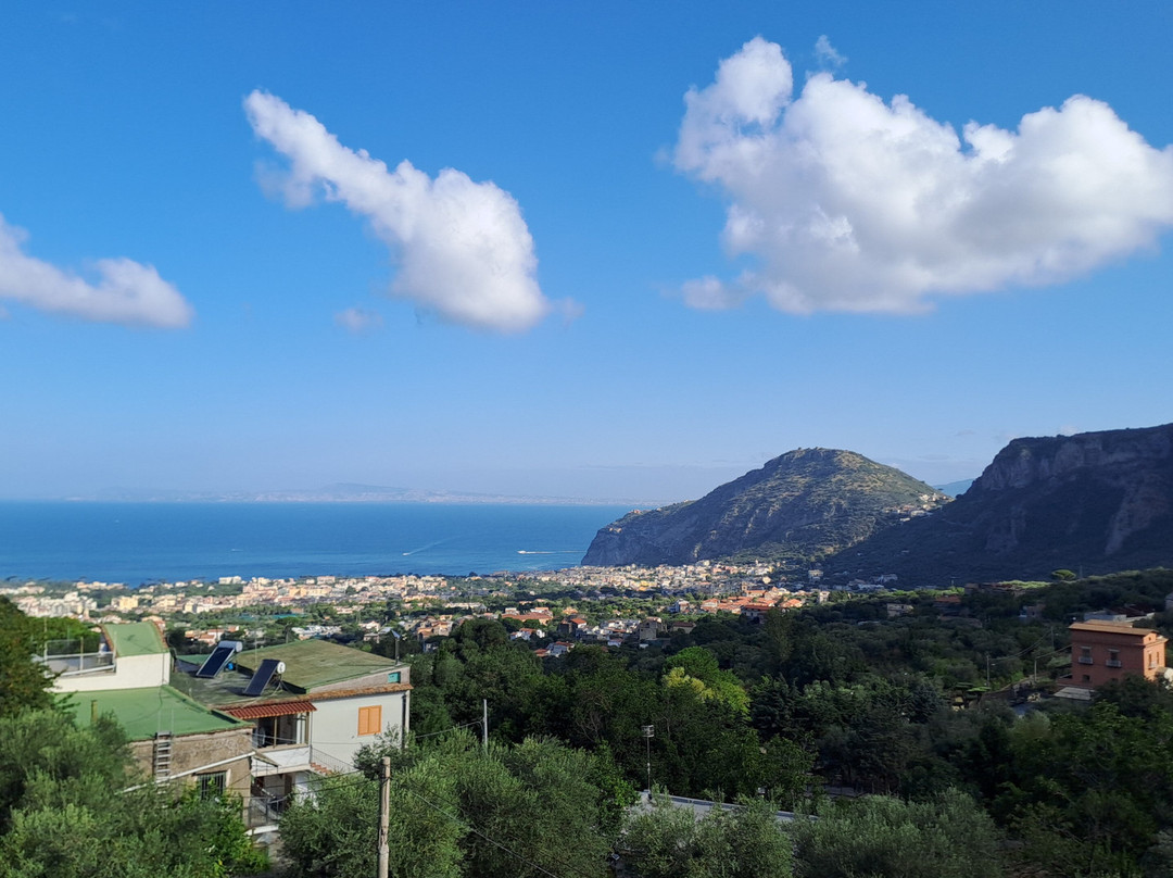 Hotel Royal Hills主图