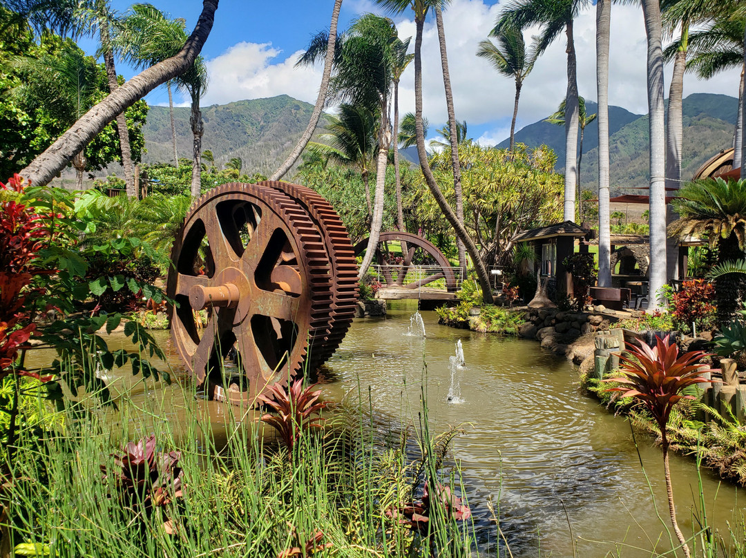 茂宜热带平原-怀露库必去景点