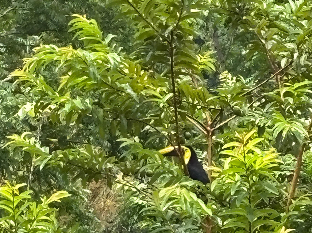 Tony Corona Tours-克波斯必去景点