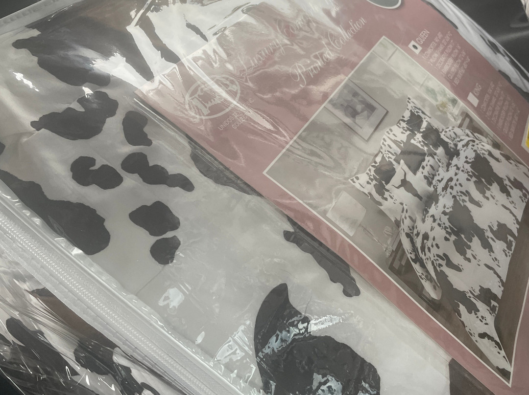 Lidl Dollys Factory Store-皮金福奇必去景点