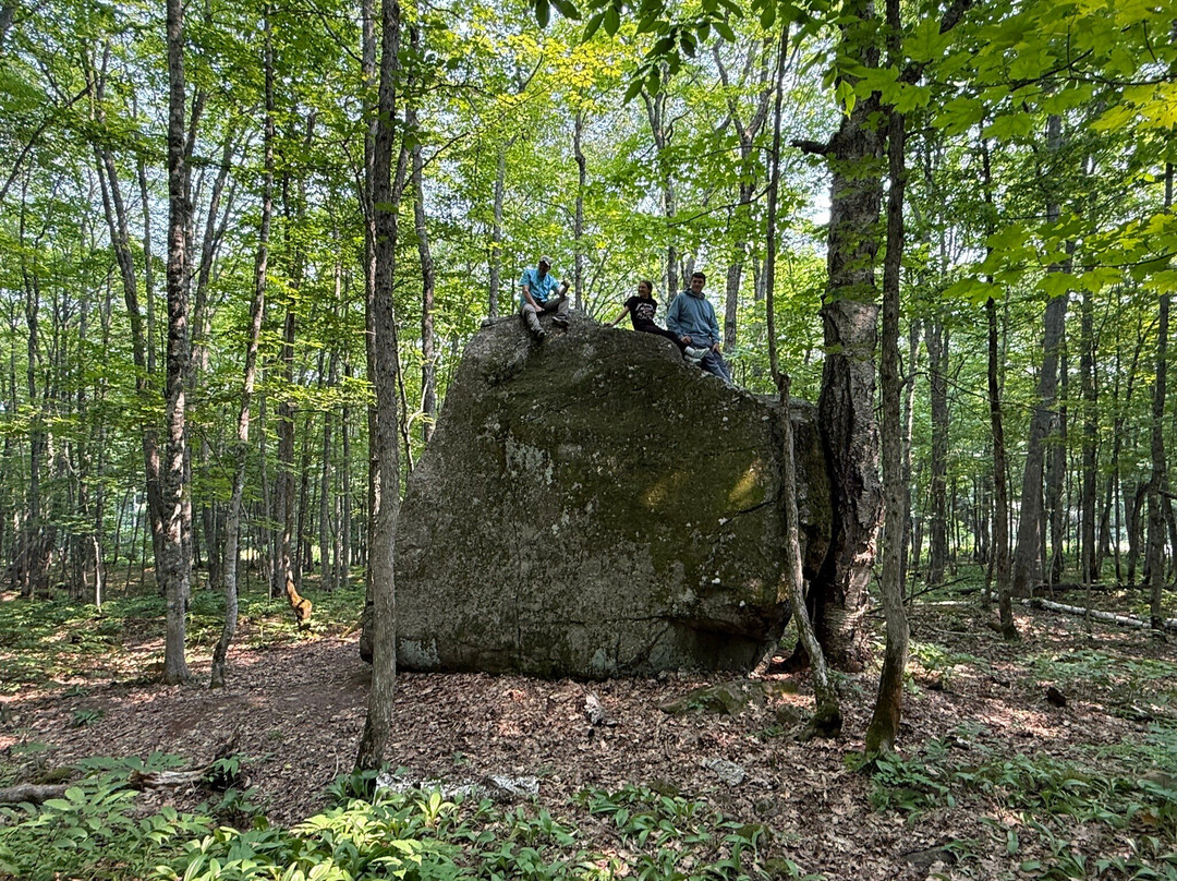 Upper Peninsula Tours-霍顿必去景点