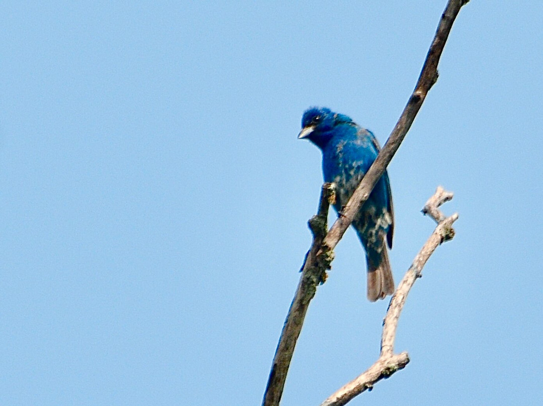 Martha Lafite Thompson Nature Sanctuary-Liberty必去景点