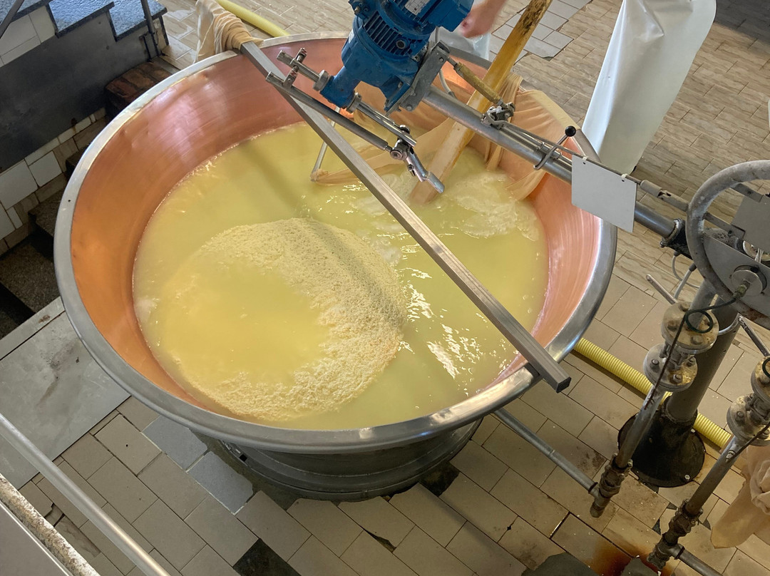 Caseificio San Pier Damiani-帕尔马必去景点