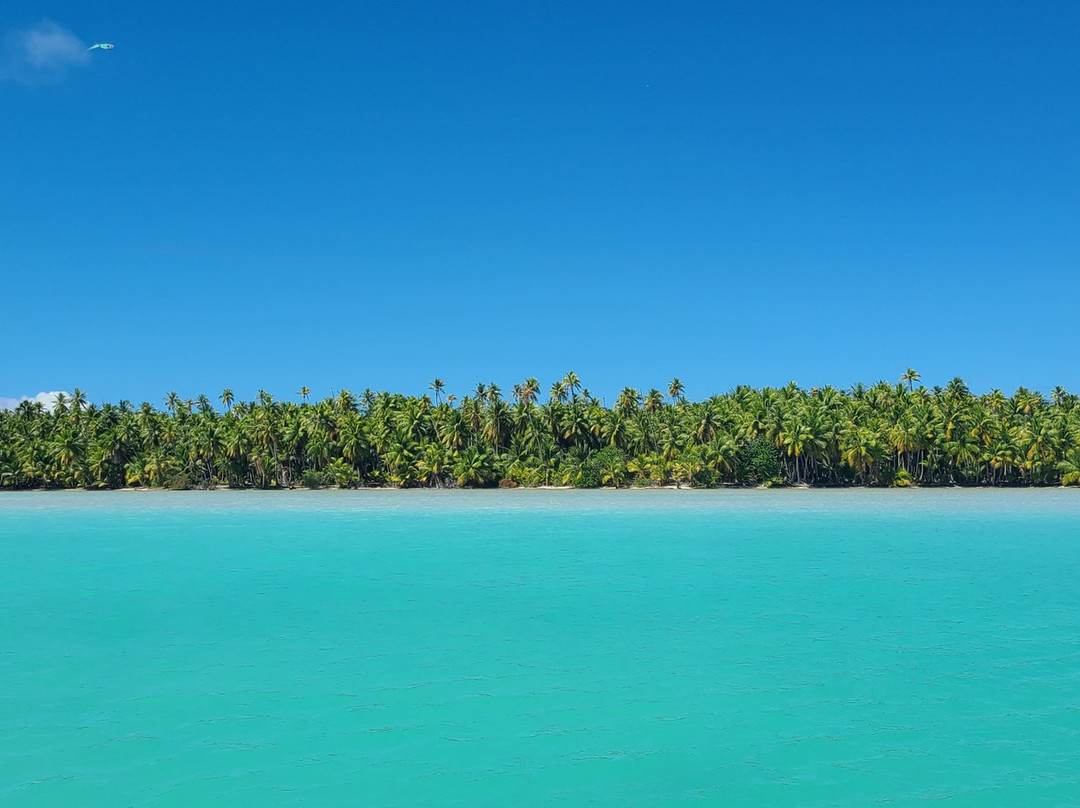 Cocoperle Lodge主图