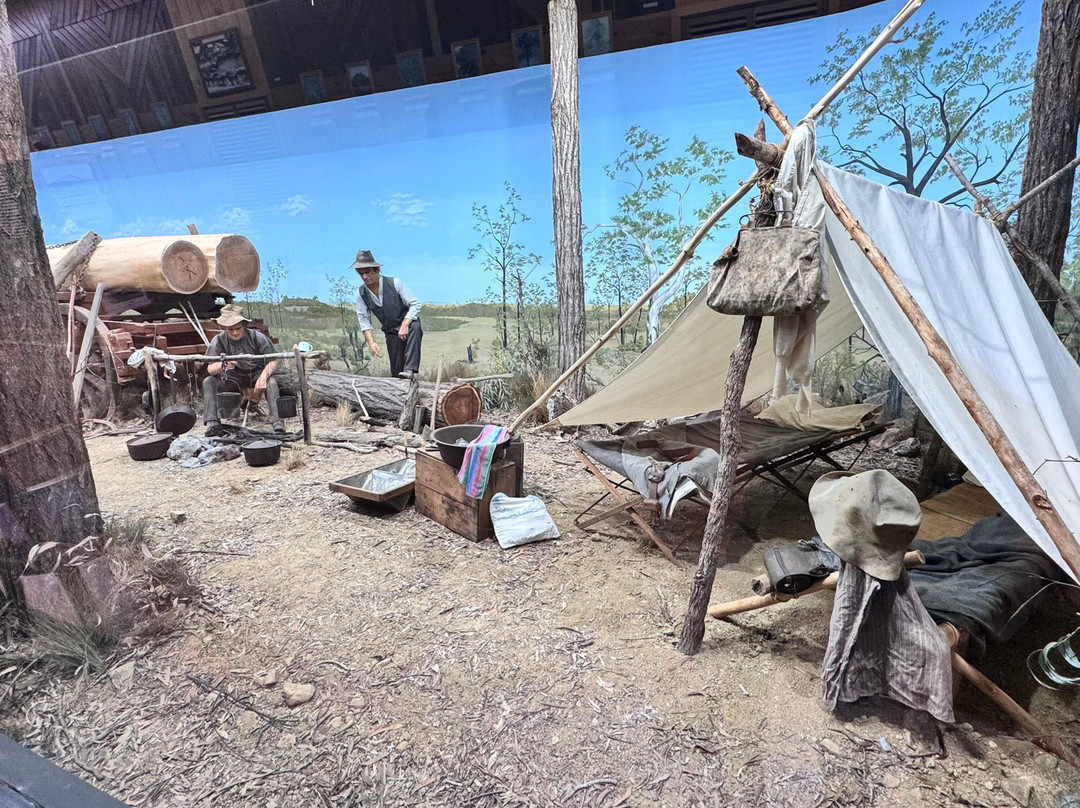 Wondai Visitor Information Centre and Timber Museum-Wondai必去景点