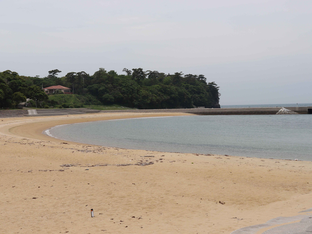 Nagasakibana Resort Campground Flower Park-丰后高田市必去景点