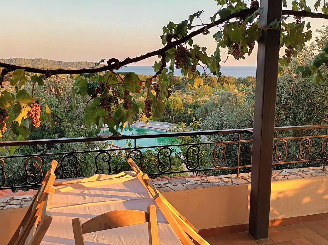 Moonbeam Hotel主图