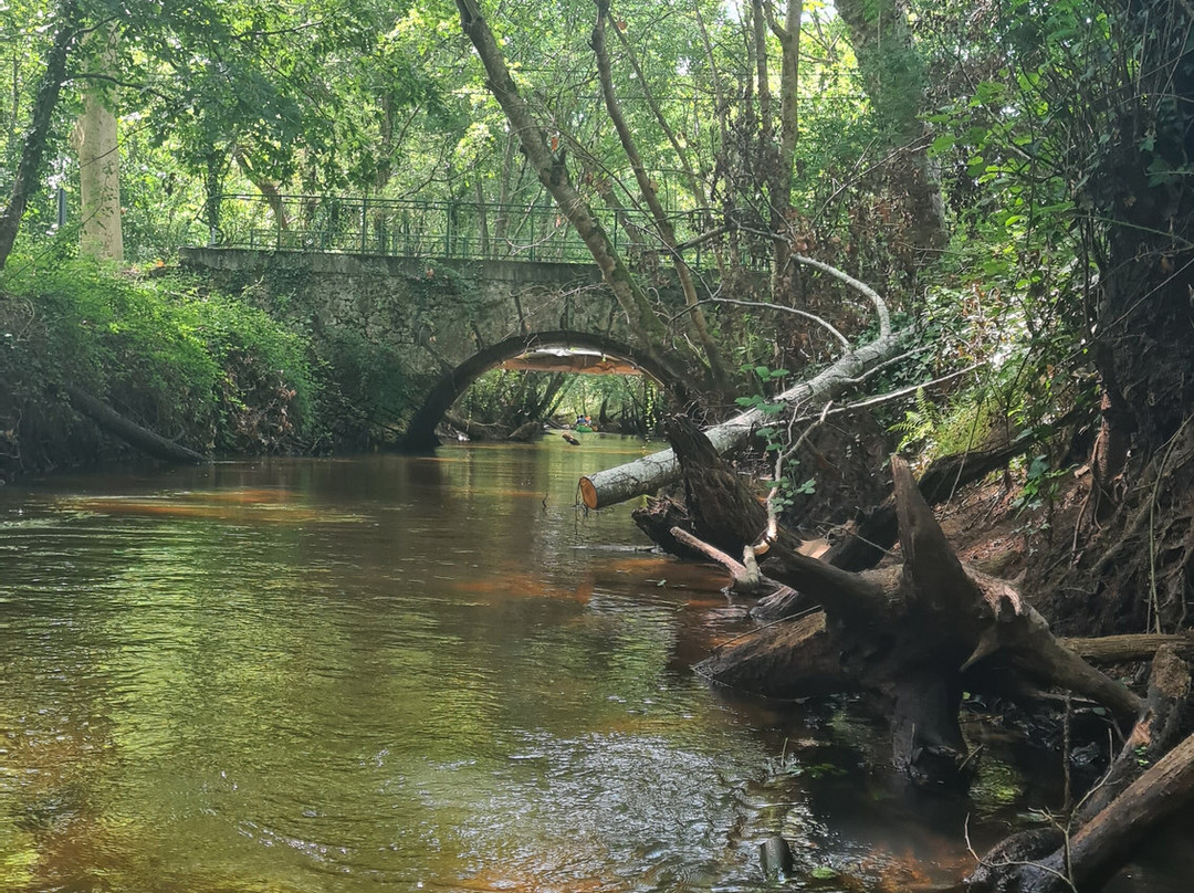 Canoë Aventure-Saint-Paul-en-Born必去景点