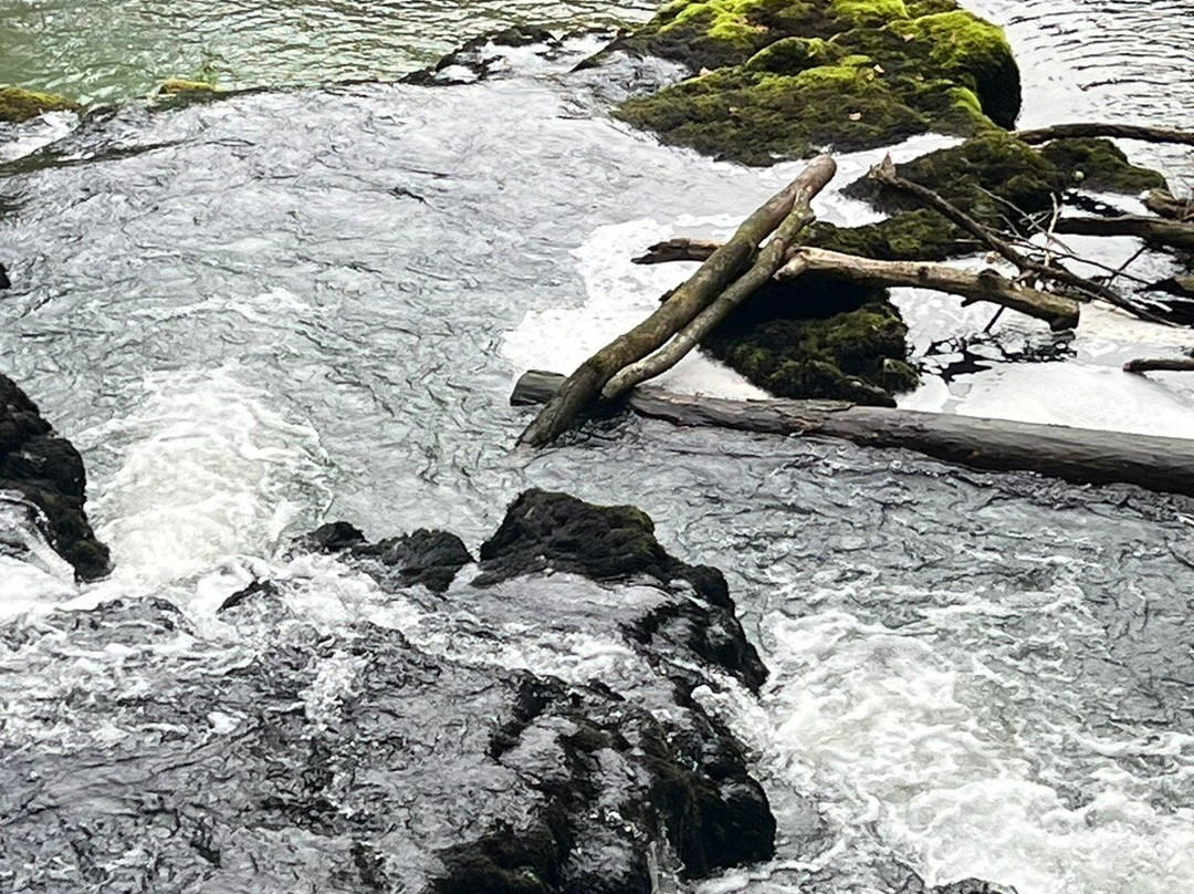 Source du Lison-Nans-sous-Sainte-Anne必去景点