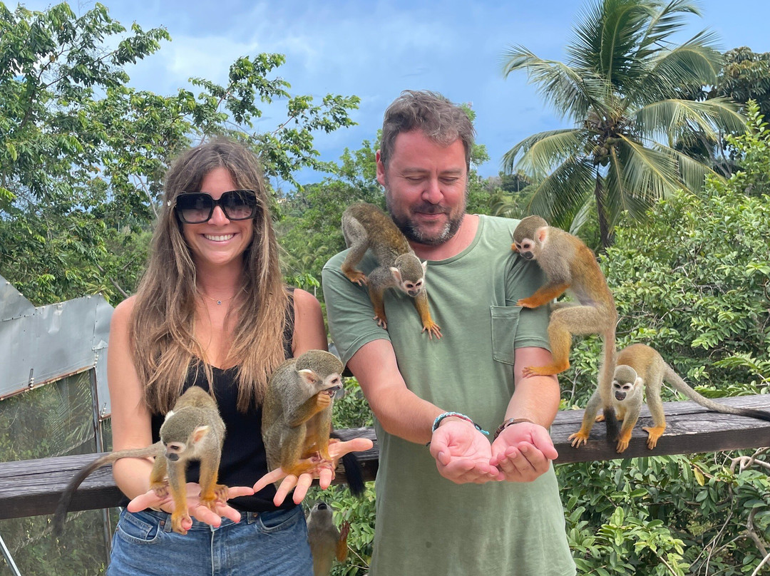 Monkeyland At Samaná-Santa Barbara de Samana必去景点