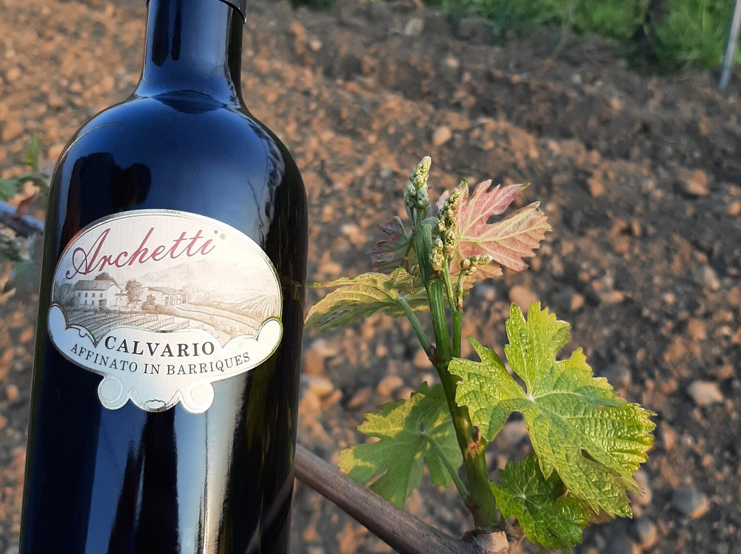 Azienda Agricola Il Dosso-Corte Franca必去景点