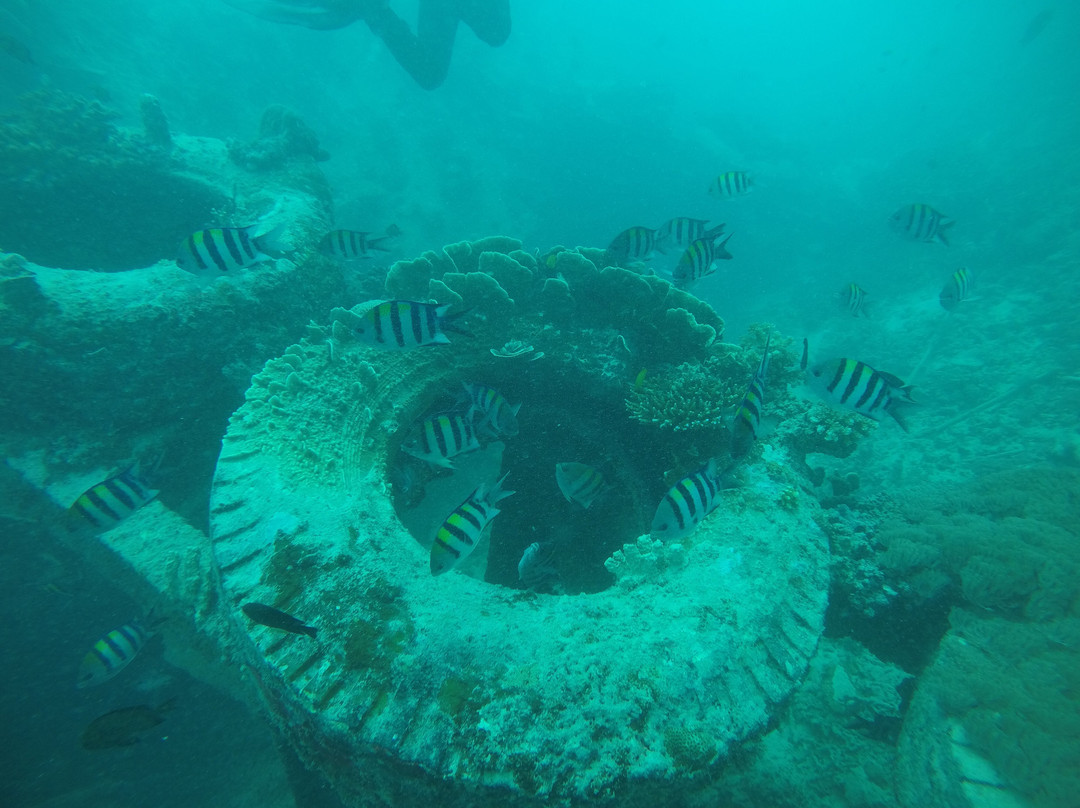 Gili Island Diving Center-Gili Air必去景点