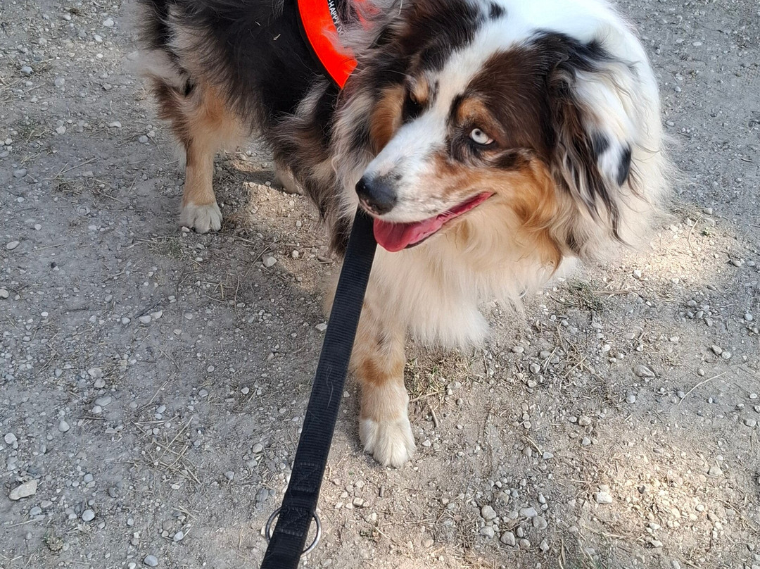 Pro Sports 24-Gardonne必去景点