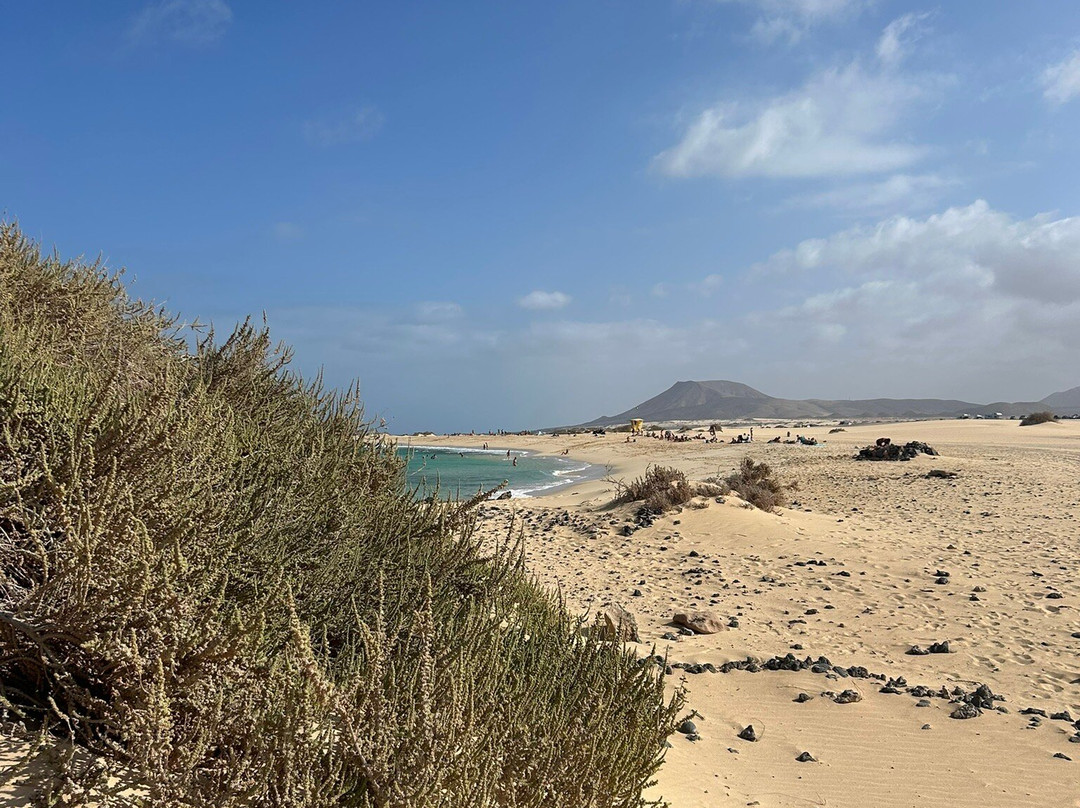 Playa Alzada-科拉雷侯必去景点