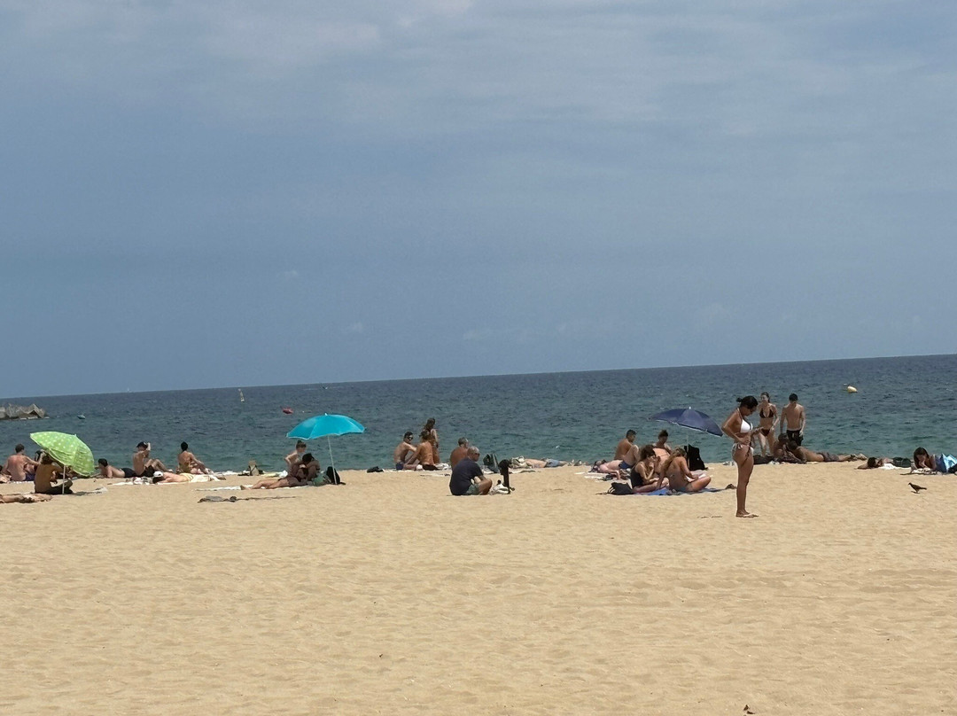 Bogatell Beach-巴塞罗那必去景点