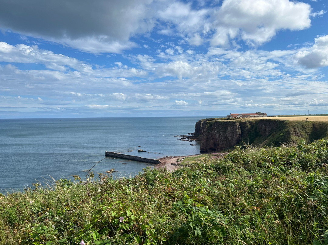 Arbroath Cliffs