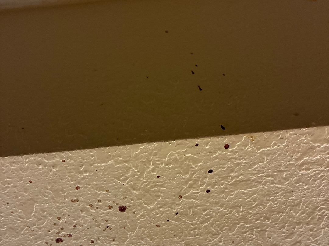 Red Roof Inn Detroit - Roseville/ St Clair Shores主图