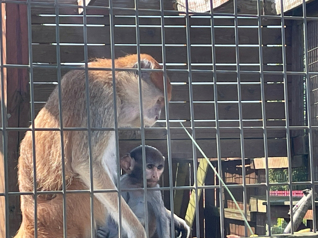 Animal Adventure Park-Harpursville必去景点