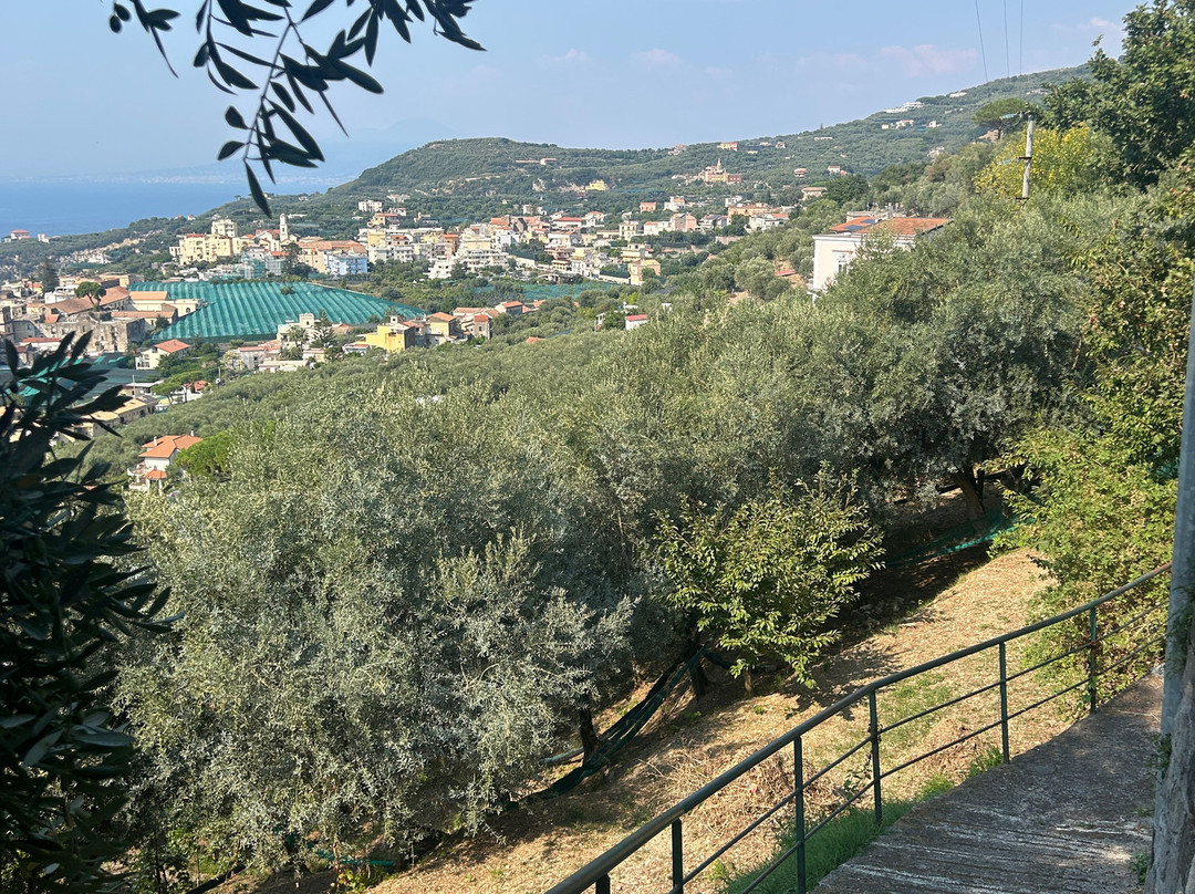 Antonio Massa Lubrense主图