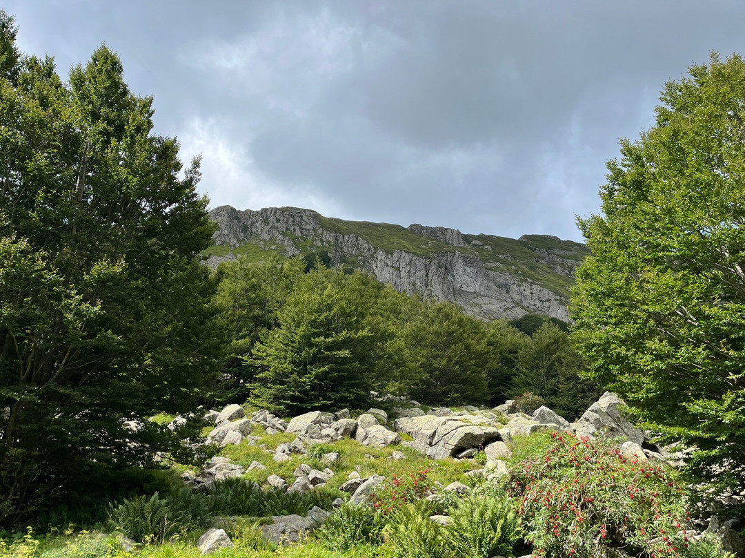 Sorgenti Del Secchia-雷焦艾米利亚必去景点