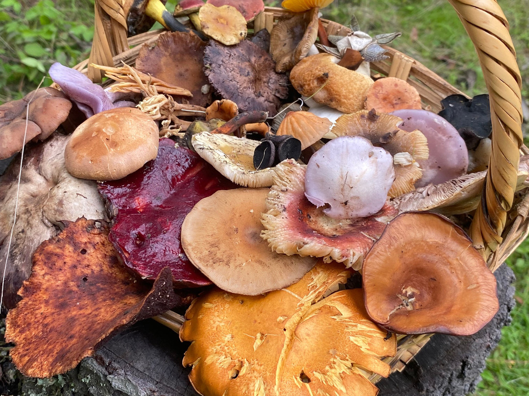 Funset Experience-Amecameca必去景点