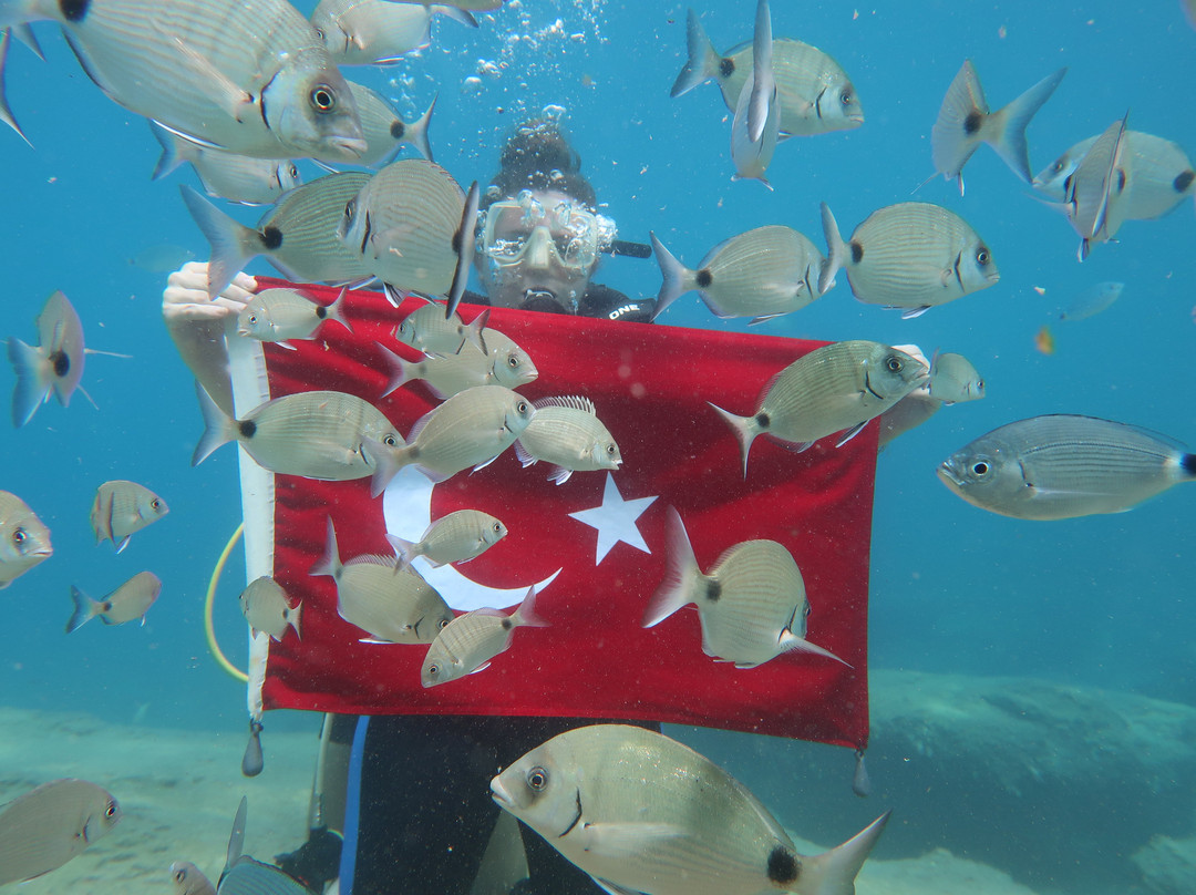 Fethiye Diving Centre-费特希耶必去景点