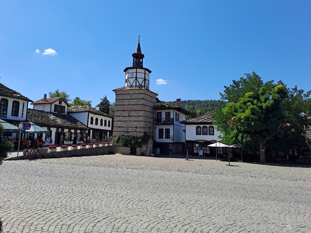 Museum of the Wood-Carving and Ethnographical Arts-Tryavna必去景点