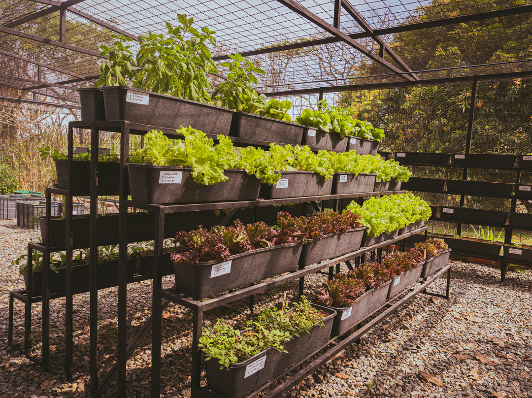Restaurante La Capilla
