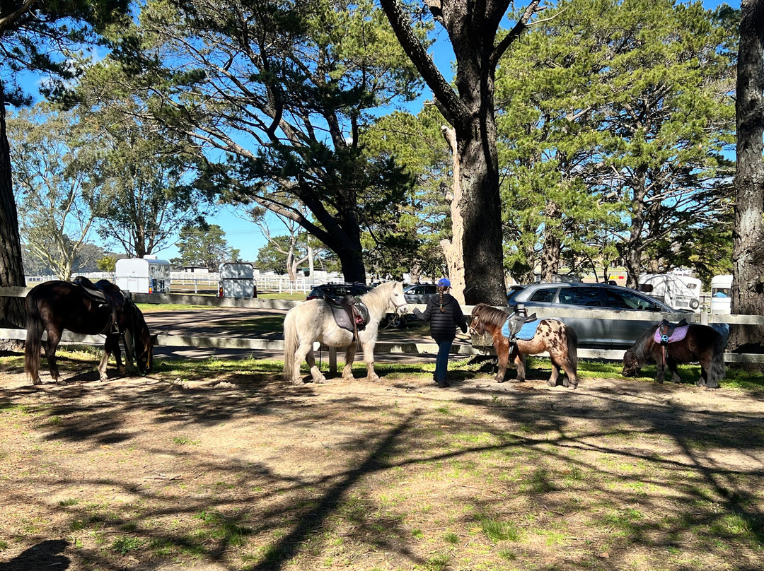 Darkes Forest Ranch-Darkes Forest必去景点